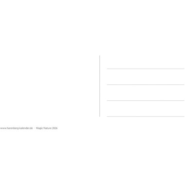 HARENBERG Postkartenkalender 2026 3310116+26 Magic Nature DE 16x17.5cm