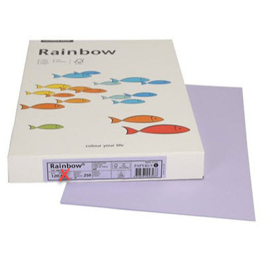 RAINBOW Papier violet/60 A3 88042569 FSC, 120g 250 feuilles