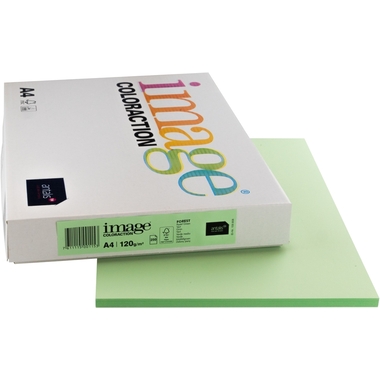 IMAGE COLORACTION Kopierpapier Forest A4 266689 120g, grün 250 Blatt