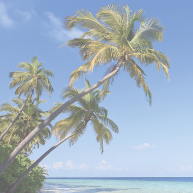 SIGEL Sous-Mains 595x410mm HO470 papier calendrier, 3 ans