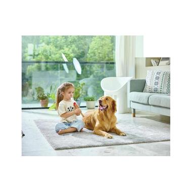 Hape Musical Toy Musician's Starter Recorder