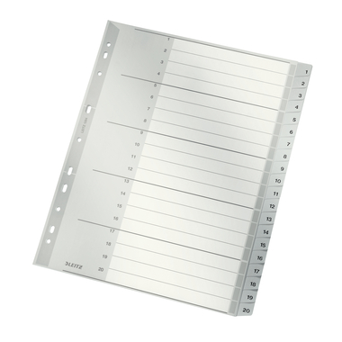 LEITZ Register PP A4+ 12840000 grau 1-20