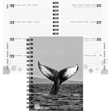 BIELLA Schüleragenda Whale 26/27 806517860027U 1W/2S 12x16.5cm