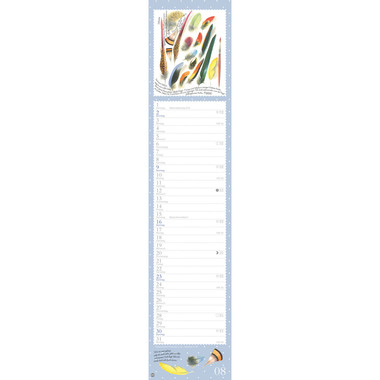 HEYE Monatsplaner M. Bastin 2026 1590+26 1M/1S DE 11x49cm