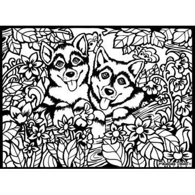 TATARUGA Samtbild A4 S5 Huskys