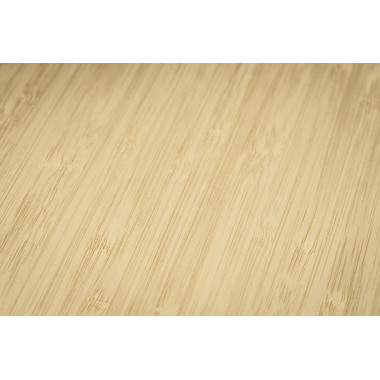 CONCEPTUM Carnet bamboo A5 CO671 pointé, 194 S., multicouleur