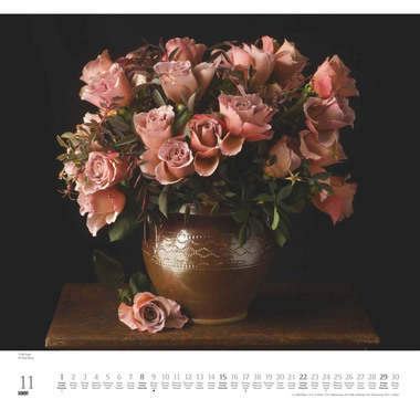 DUMONT Calendario 2026 260373 Rose ML 38x35.5cm