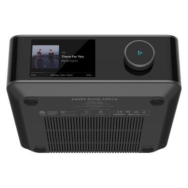 PIEGA SA Bundle Ace 30 + WiiM Amp Ultra (Argento/Grigio Spaziale)