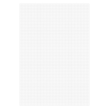 BÜROLINE Quaderno A4 533874002 4mm quadr. con bordo 90g