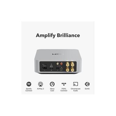WiiM Lecteur audio réseau Amp Argenté