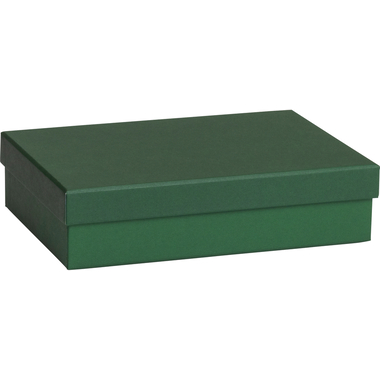 STEWO Geschenkbox One Colour 2551782692 grün dunkel 16.5x24x6cm