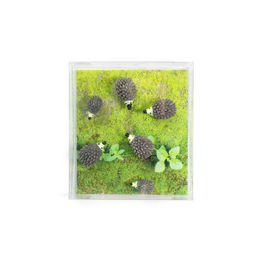 TRENDFORM Magnete HEDGEHOG FA4588 6er Set grau