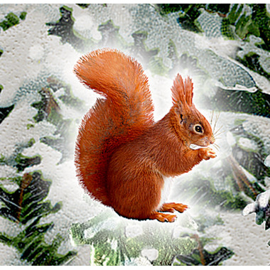 COPPENRATH Wandkalender 72619 Weihnachtslaterne