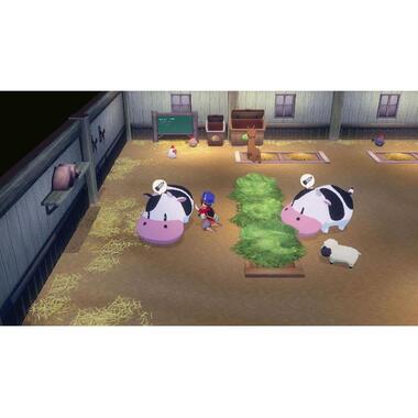 Marvelous Games Story of Seasons: Grand Bazaar [NSW] (I) (Box)