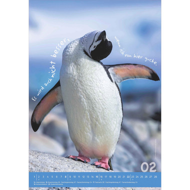 ALPHA EDITION Calendario 2026 160492 Tierisch cool! DE 23.7x34cm