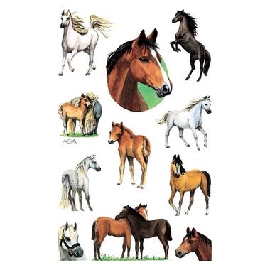 Z-DESIGN Sticker Kids 53483 sujet 2 pcs.