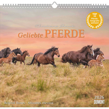 DUMONT Calendrier 2026 260613 Chevaux ML 38x35.5cm