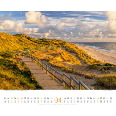 ACKERMANN Calendario 2026 2634 Wege ML 54x48cm