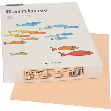 RAINBOW Papier lachs/40 A4 88042498 FSC, 80g 500 Blatt