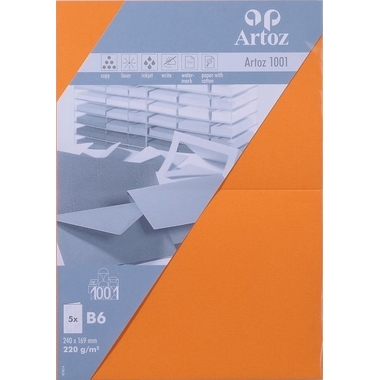 ARTOZ Cartoline 1001 B6 107362265 220g, arancione 5 fogli
