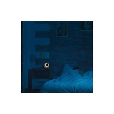 TFA Dostmann Lichtwecker 60.2053.15 mit Mondlampe und Naturgeräuschen