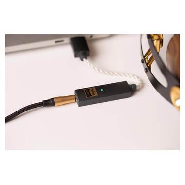 iFi Audio Amplificateur de casque & USB-DAC GO-Link