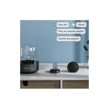 WiiM Lecteur audio réseau Mini Noir