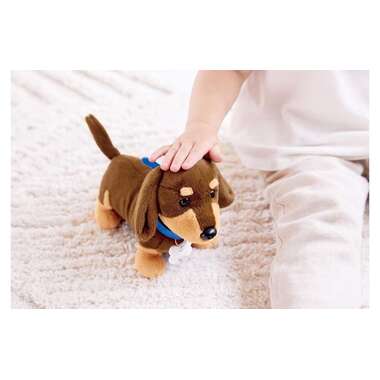 Hape Veterinarian Set