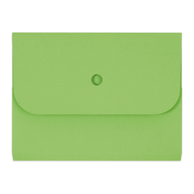 ELCO Cartella di organiz. Ordo A4 29494.62 forte, verde 25 pezzi