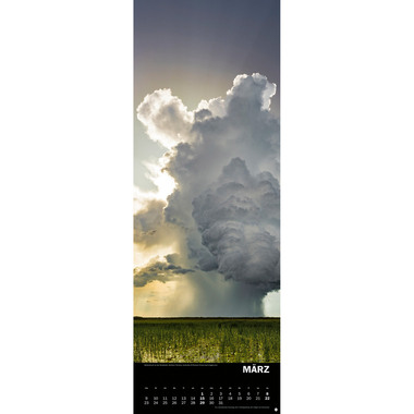 HEYE Calendario 2026 21903+26 Forze della naturaTE 24.5x69cm