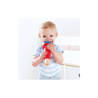 Hape Echo Microphone