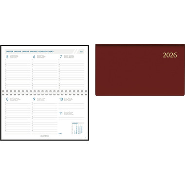 AURORA Agenda Seta Novopl. Pearl 2026 1714P 1S/2P ass. ML 9x16.5cm