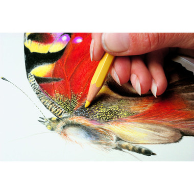 CARAN D'ACHE Crayon de couleur Prismalo 3mm 999.080 carmin