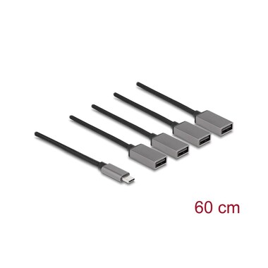 Delock USB Hub USB 2.0 - 4x USB-A, USB Type-C, 60 cm