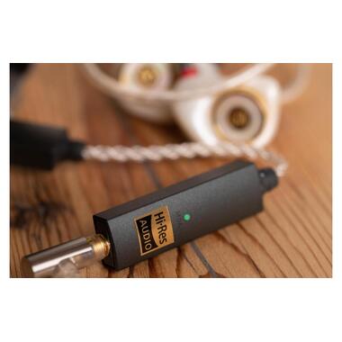 iFi Audio amplificatore per cuffie e DAC USB GO-Link