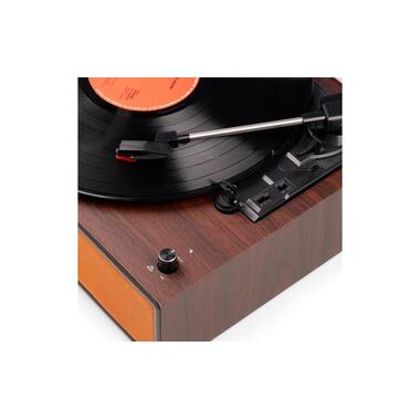 Audizio Tourne-disque Reno-CO BT, stéréo, cuivre Cuivre