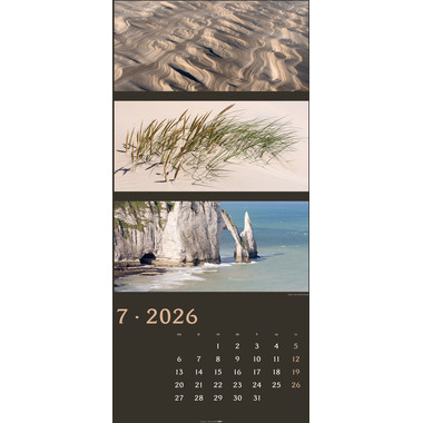 WEINGARTEN Calendario 2026 3226100+26 Farben der Natur DE 33x68cm