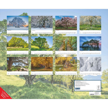 DUMONT Bildkalender 2026 260364 Bäume ML 58.4x48.5cm