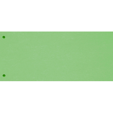 BIELLA Intercalaires carton 2 trous 19919030U vert, 24x10.5cm 100 pcs.