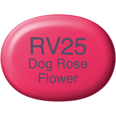 COPIC Marker Sketch 21075180 RV25 - Dog Rose Flower