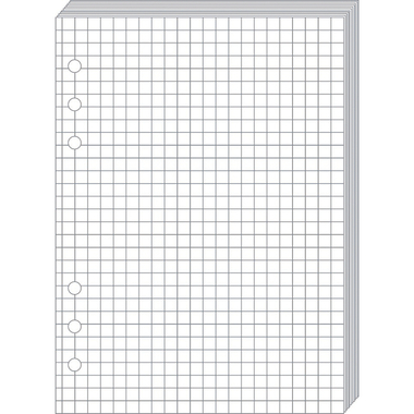 QUO-VADIS Timer21 Planing Notes 722001Q quadrillé 15x21cm
