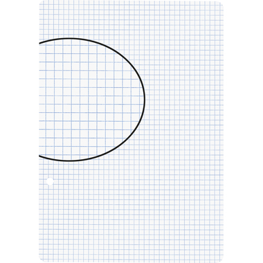 BIELLA Fogli per quaderni A5 45052400U bianco,quad.4mm,2 fo. 100 fg.