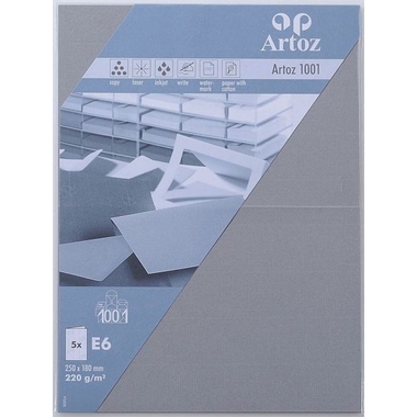ARTOZ Cartes 1001 E6 107372262 220g, graphit 5 feuilles