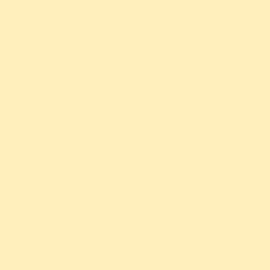 RAINBOW Papier chamois/06 A4 88042276 FSC, 80g 500 Blatt