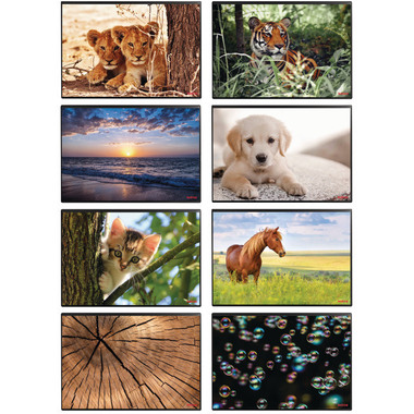 KOLMA Sous-main 35.550.20 Lion 50x34cm