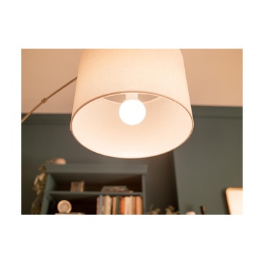 Philips Lamp LED 60W A60 E27 WW FR ND 3CT/6 EC Warm White (WW)