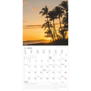 ALPHA EDITION Calendrier 2026 160300 Summer Dreams ML 30x30cm