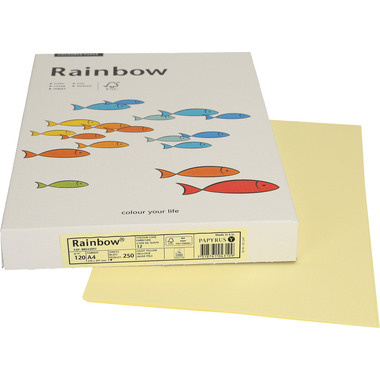 RAINBOW Carta giallo chiaro/12 A4 88043097 FSC, 120g 250 fogli