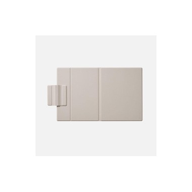 Onyx E-Book Reader Schutzhülle Magnetic Case Boox Go 10.3