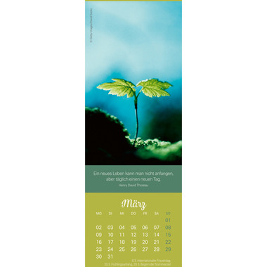 HEYE Calendrier Attention 2026 22896+26 AL 6x18cm